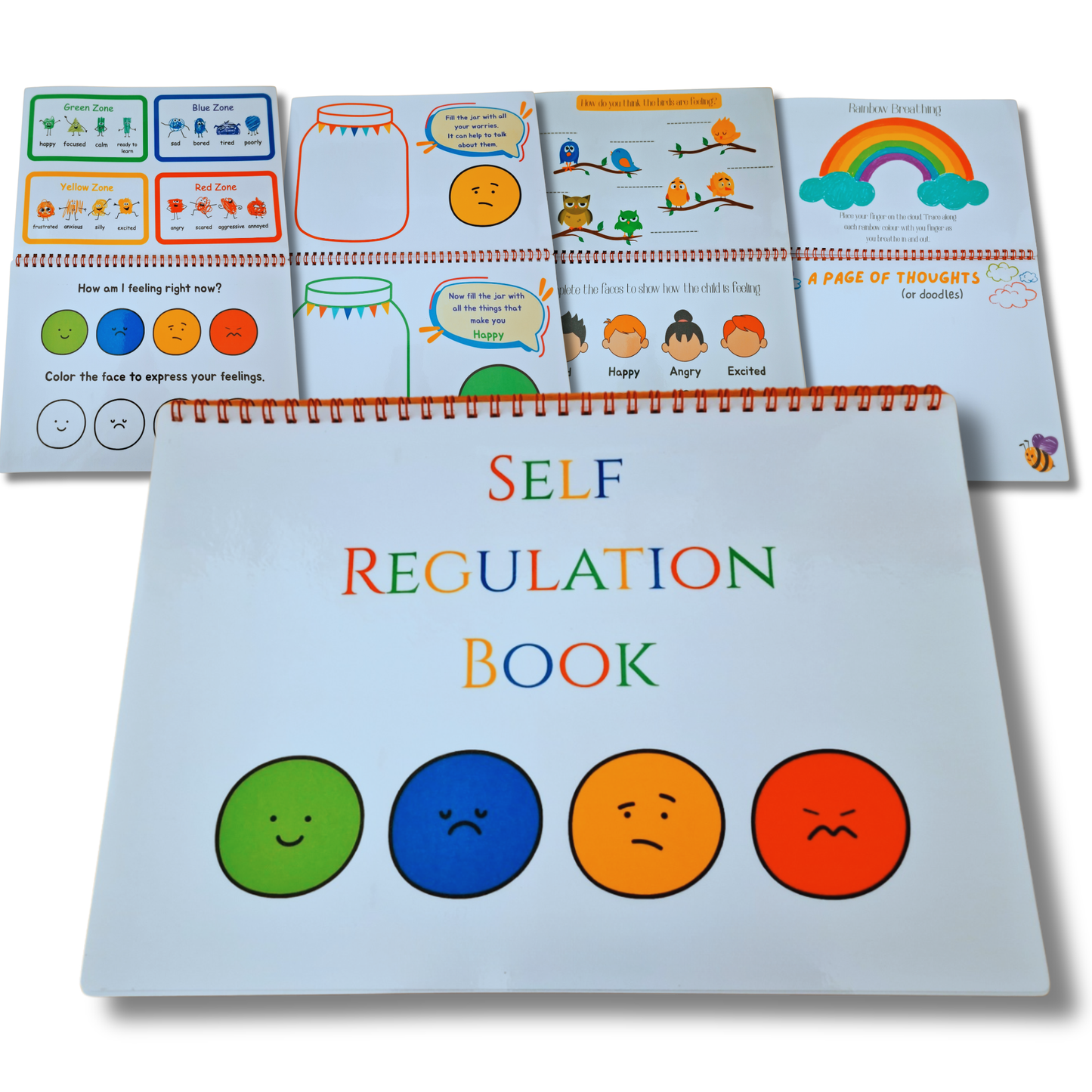 Self Regulation Workbook