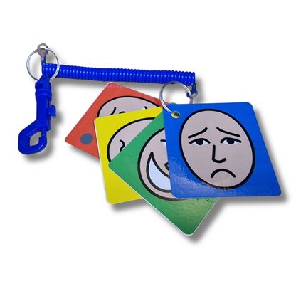 Zones of Regulation Keyring